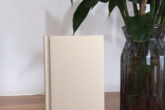 Η γραμμή παραγωγής Manunal Oxidation με μηνιαία παραγωγική ικανότητα 900 τόνων